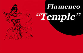 grupo flamenco v
